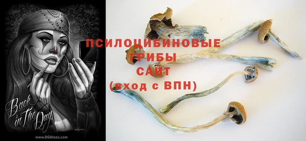 PSILOCYBIN Лиски