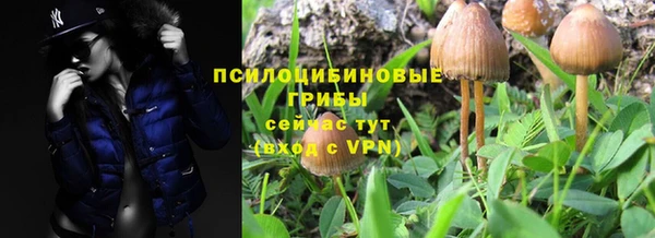 мдма Лагань