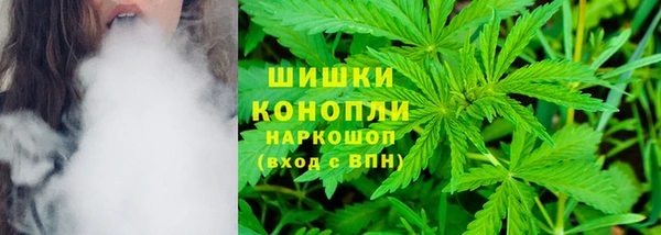 PSILOCYBIN Лиски