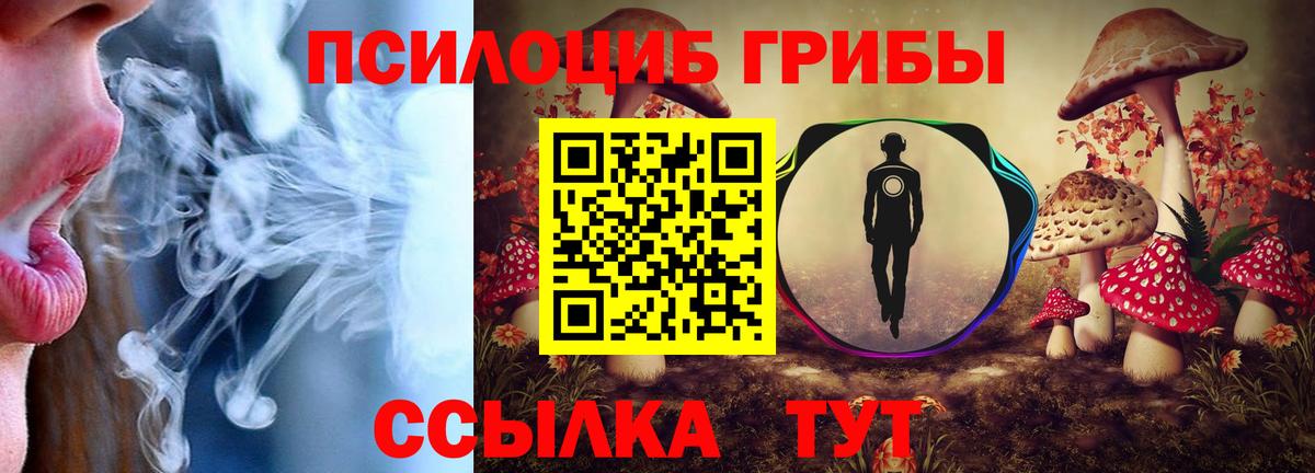 Галлюциногенные грибы Psilocybine cubensis  Псилоцибиновые грибы GOLDEN TEACHER  Вход с VPN  как найти закладки  Нижнекамск 