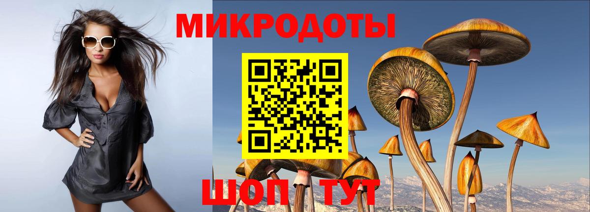 Галлюциногенные грибы Cubensis Нижнекамск