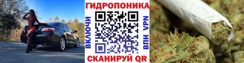 Марихуана планчик  hydra рабочий сайт  Нижнекамск 